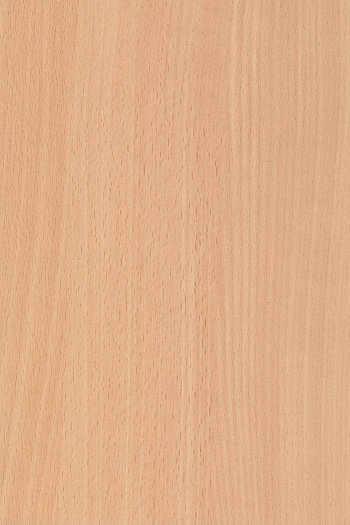 бук 5113