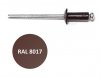 Заклепки  3,2х 8 RAL-8017 Daxmer DIN 7337 (шоколад, алюм.-сталь)